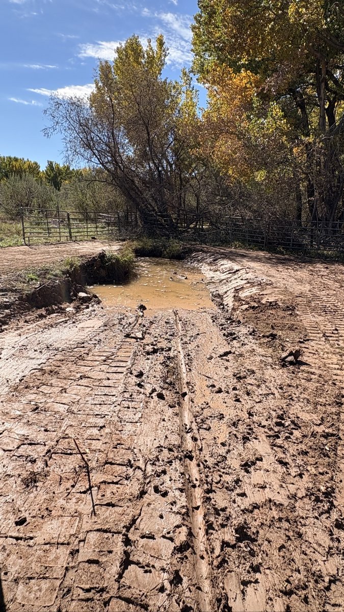 Same ditch crossing after BK Hauling & Clearing cut and graded the banks, track marks in the mud