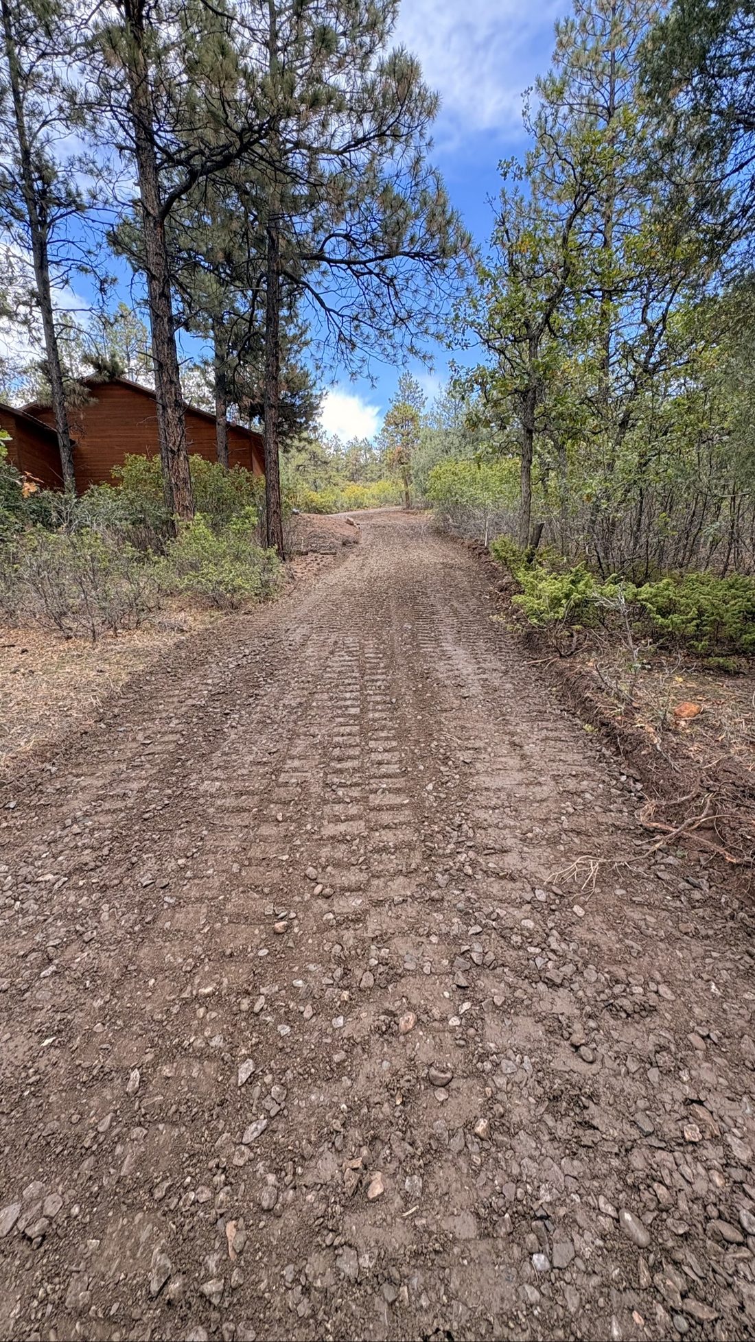 Freshly graded dirt driveway by BK Hauling & Clearing