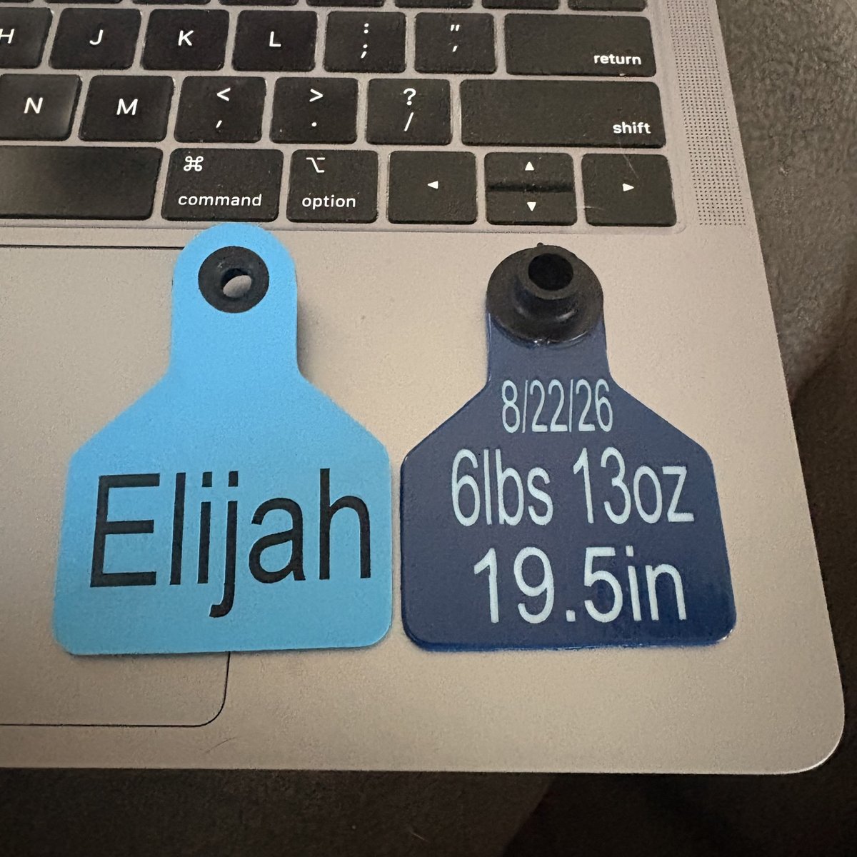 Personalized baby keepsake cattle ear tags with a name and birth details, made by KB Custom Creations