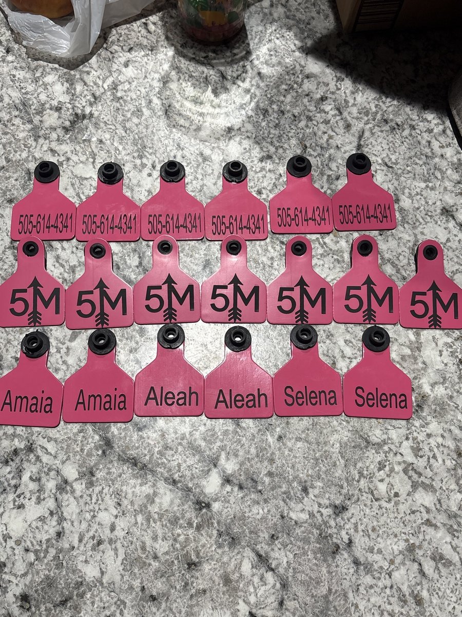 Bulk set of pink cattle ear tags with a ranch brand, names, and a phone number, made by KB Custom Creations